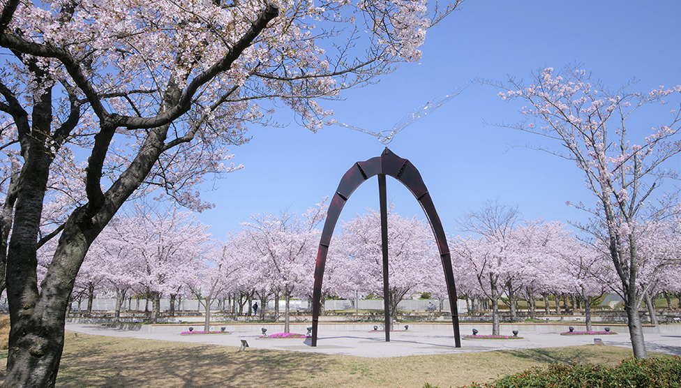 置于樱花广场的纪念物的照片