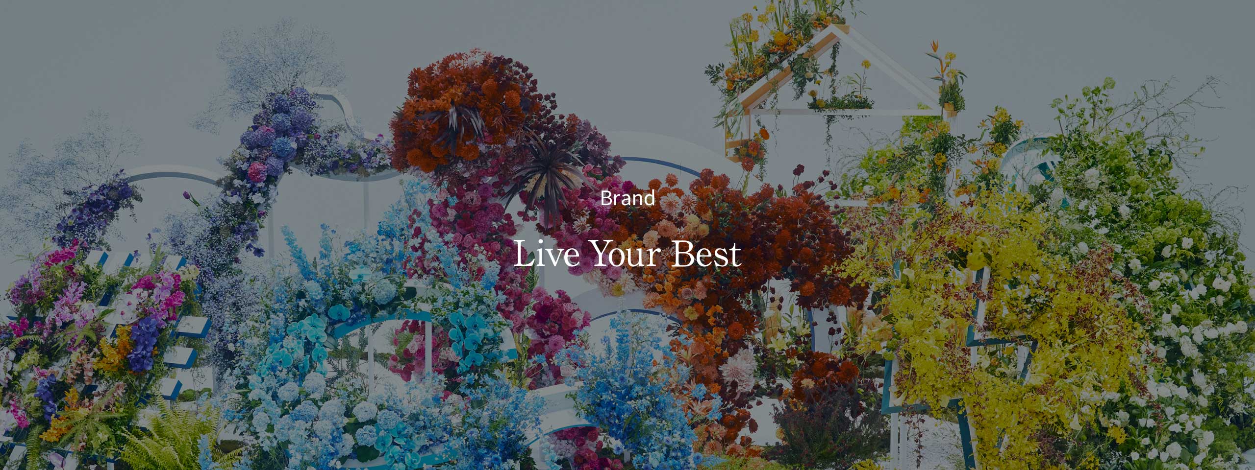 Brand：Live Your Best