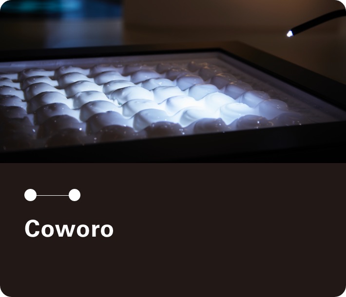 Image: photo of Coworo