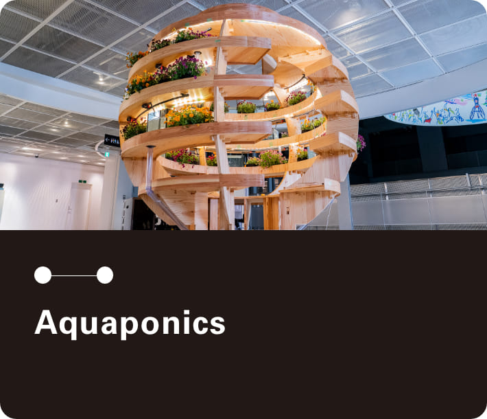 Image: photo of Aquaponics