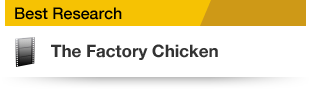 Best Research The Factory Chicken