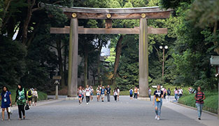 Photo: Gateway to Meiji Shrine