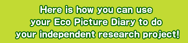 Here is how you can use your Eco Picture Diary to do your independent research project!