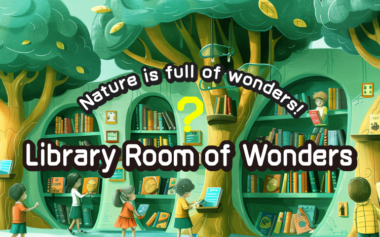 Nature is full of wonders! Library Room of Wonders