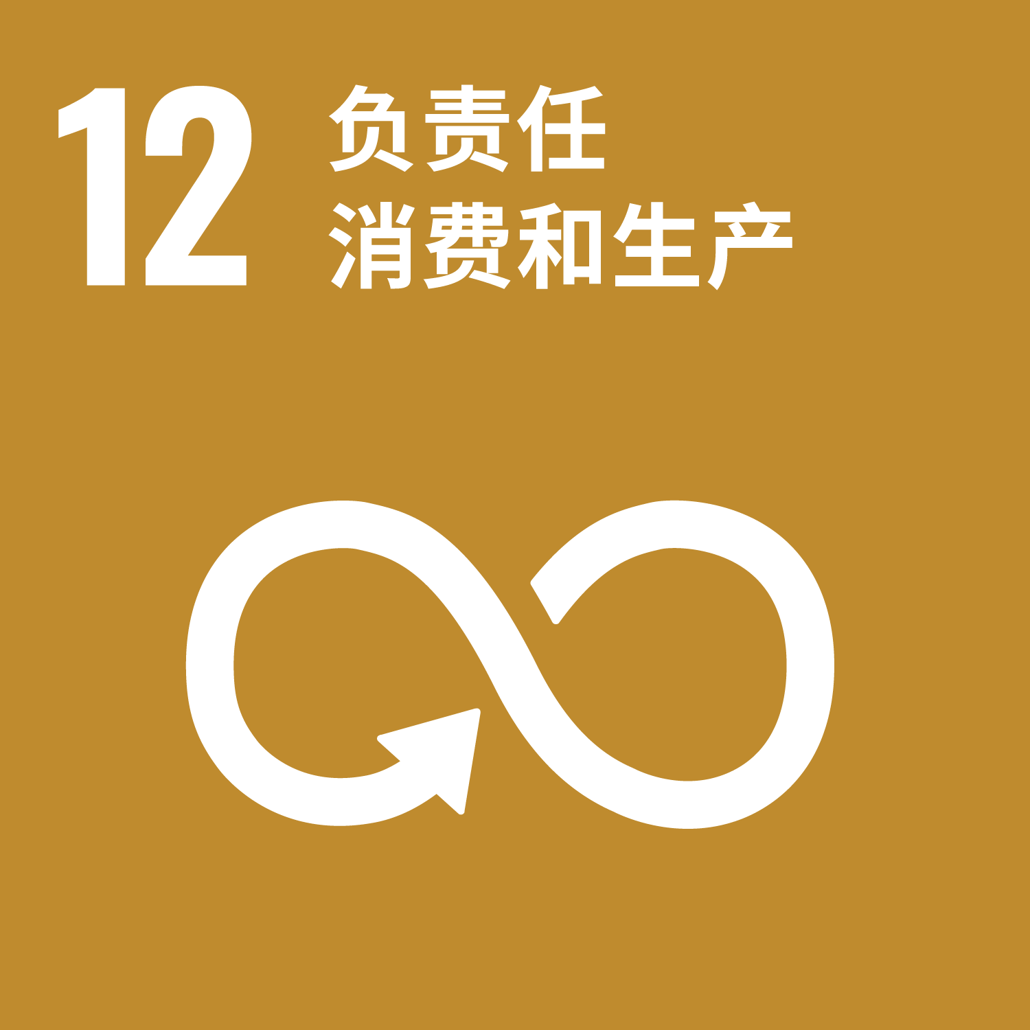 Goal 12: Responsible consumption and production 