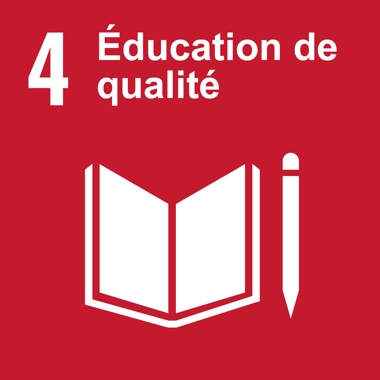 Goal 4: Quality education 