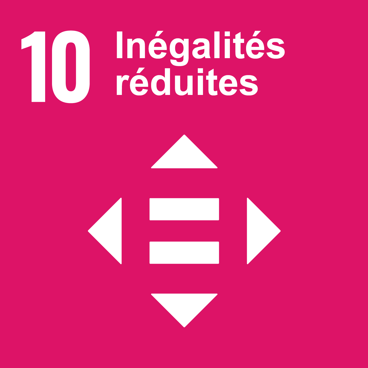 Goal 10: Reduced inequalities 