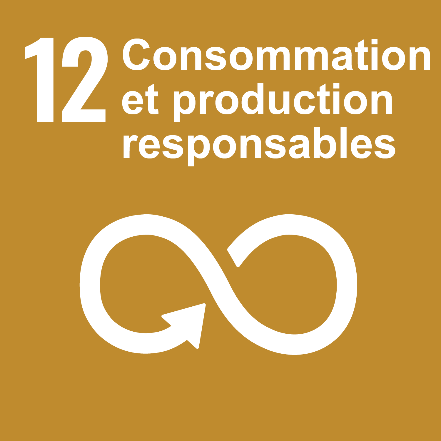 Goal 12: Responsible consumption and production 