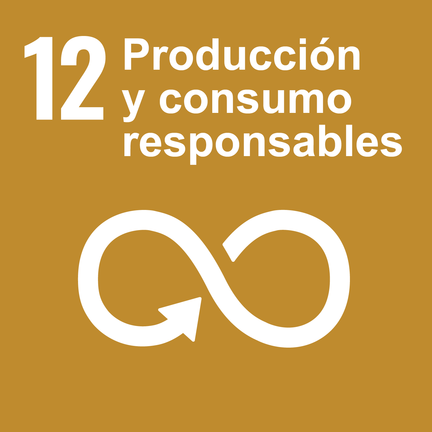 Objetivo 12: Producción y consumo responsables