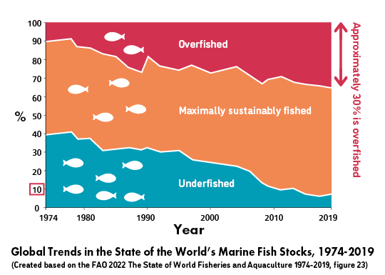 Global Trends in the State of the World’s Marine Fish Stocks, 1974-2019 (Created based on the FAO 2022 The State of World Fisheries and Aquaculture 1974-2019, figure 23)