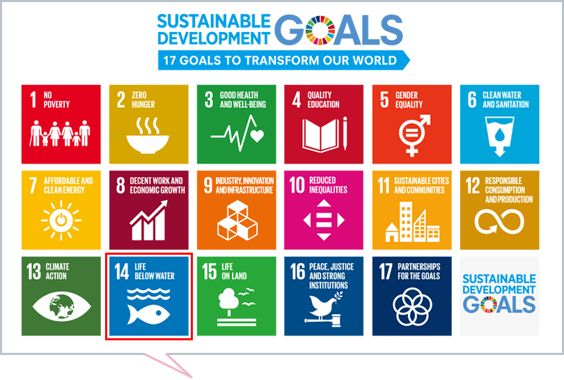 UN Sustainable Development Goals (SDGs)