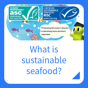 What is sustainable seafood?