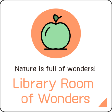 Nature is full of wonders! Library Room of Wonders