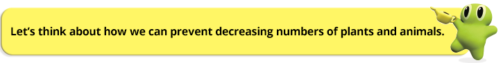 Let’s think about how we can prevent decreasing numbers of plants and animals.