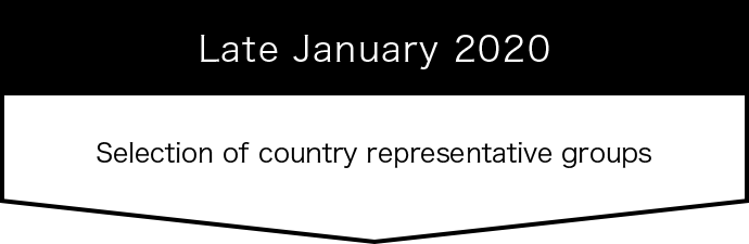 Late January 2020 Selection of country representative groups