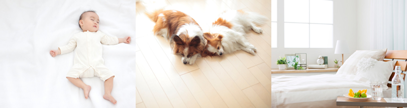 写真：快適な室内で眠る赤ちゃん、ペットの犬、ベッドサイド