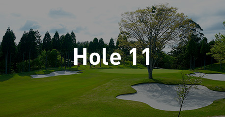 Hole 11