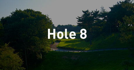 Hole 8