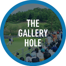 THE GALLERY HOLE