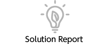 Solution Report