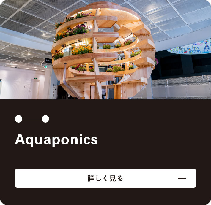 Aquaponics について詳しく見る