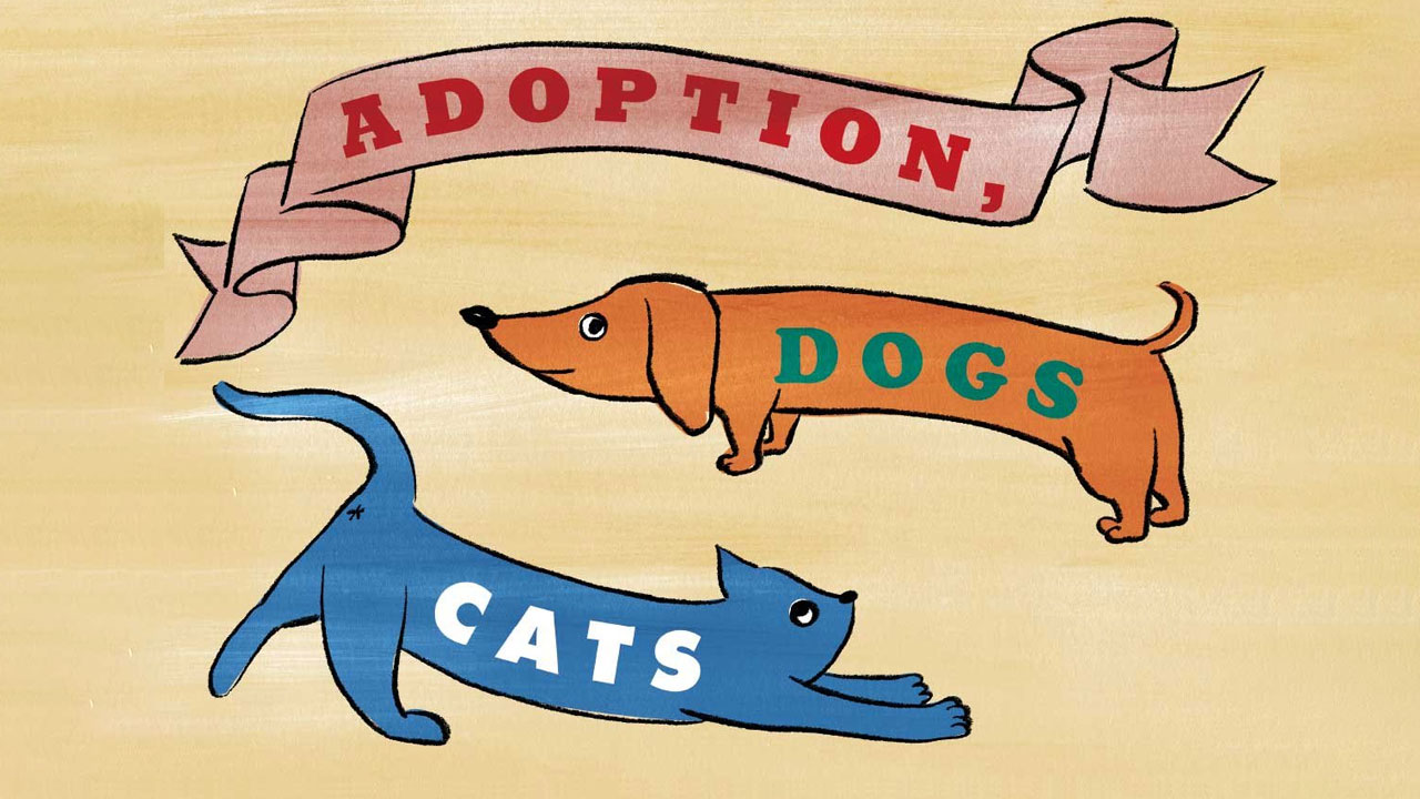 ADOPTION と書かれたリボンの下に、お腹の部分にDOGSと書いた犬、同じくお腹の部分にCATSと書かれた猫が並ぶイラスト