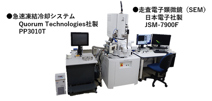 ●収束凍結冷却システム（Quorum Technologies社製 PP3010T）　●走査電子顕微鏡（SEM）日本電子社製（JS<-7900F）