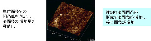 AFMを用いた微細表面形状の可視化