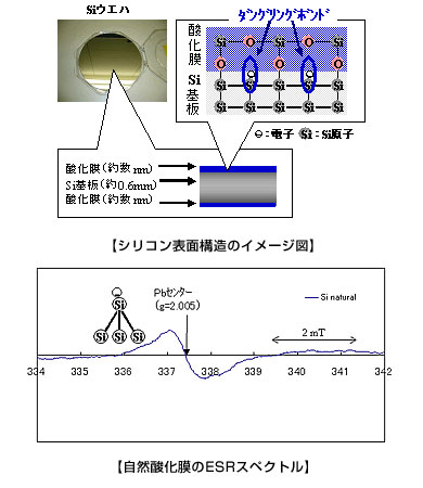 シリコン表面構造のイメージ図、自然酸化膜のＥＳＲスペクトル図