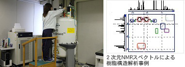 2次元NMR解析