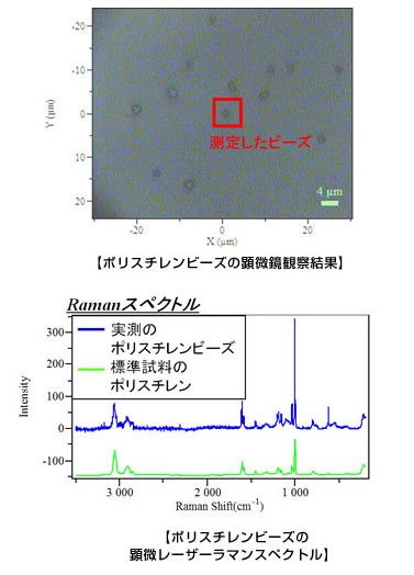 ポリスチレンビーズの顕微鏡観察結果と、ポリスチレンビーズの顕微鏡レーザーラマンスペクトル