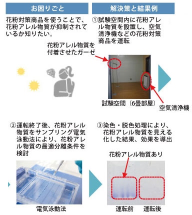日本全国で飛散する花粉の時期 お困りごと、解決策と結果
