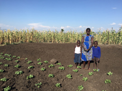 写真：支援を受けるシングルマザーとエイズ孤児。ケニア共和国ホマベイ郡、生計向上のための畑にて