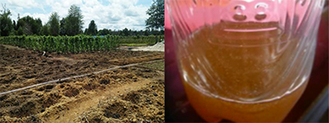 Photo left: People cultivate vegetables, etc./Photo right: A natural honey