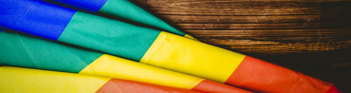 写真：青、緑、黄色、赤などのカラフルな色でデザインされた旗