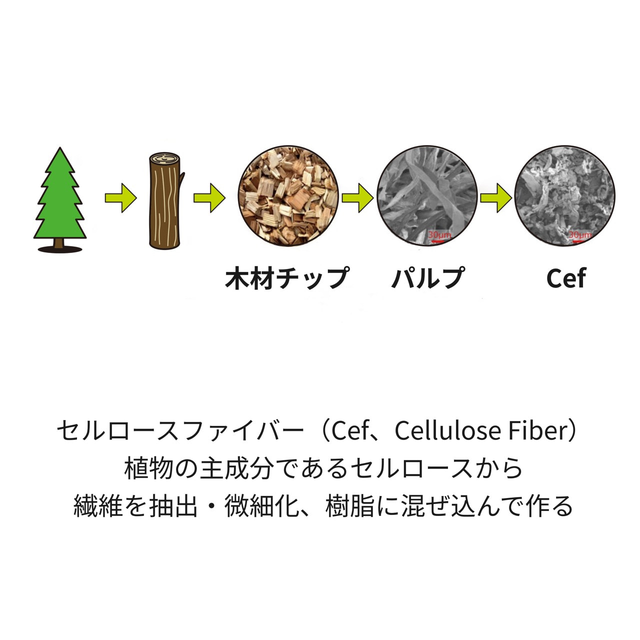 木材チップ パルプ Cef セルロースファイバー（Cef、Cellulose Fiber）植物の主成分であるセルロースから遷移を抽出・微細化、樹脂に混ぜ込んで作る