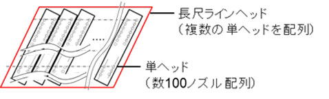 図3：長尺ラインヘッドの模式図
