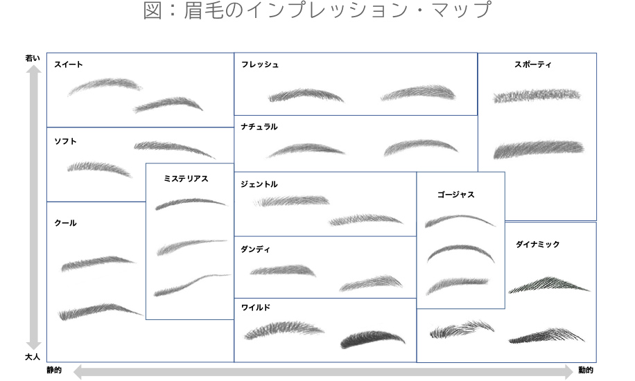 図：眉毛のインプレッション・マップ
